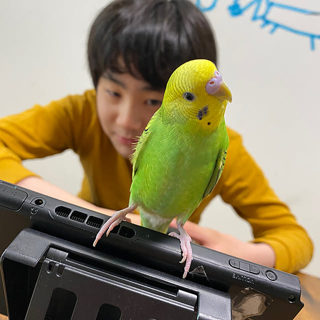 ohanaさんの実例写真