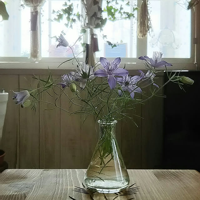 naopyiさんの実例写真