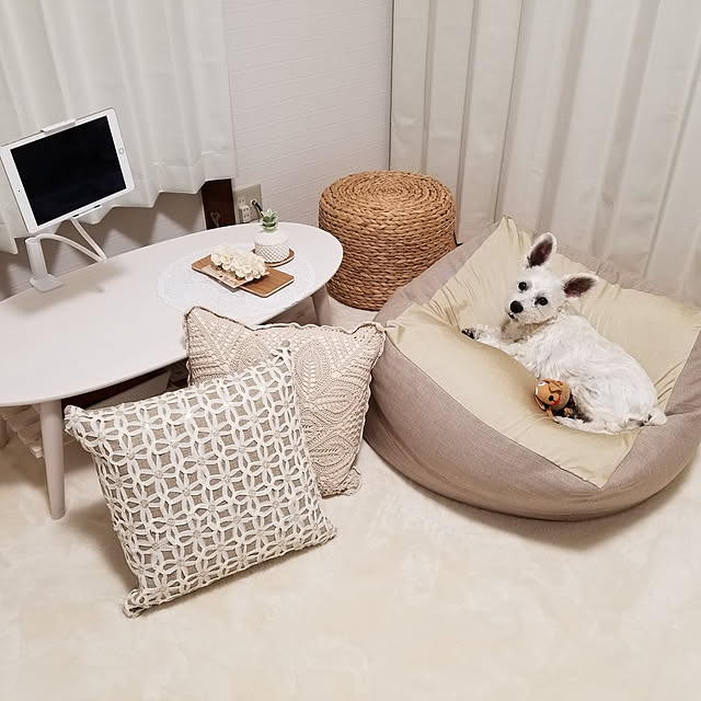 milさんの実例写真