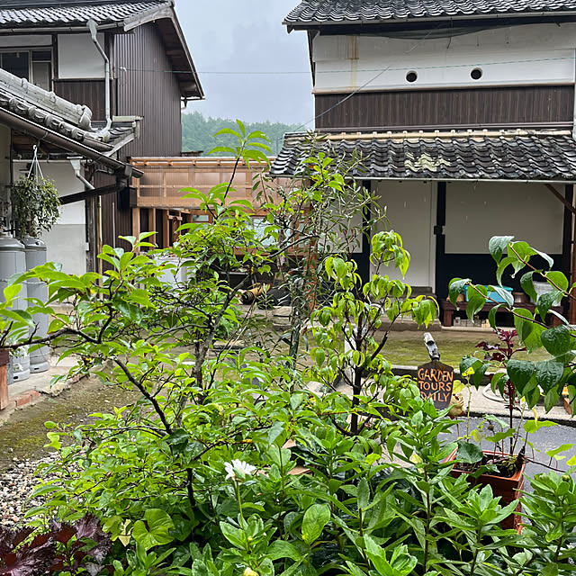 cota2さんの部屋