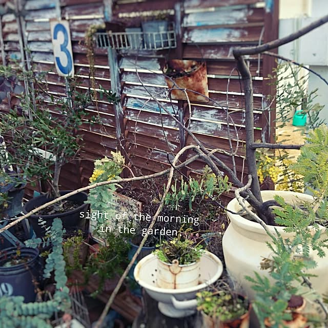 naoonさんの実例写真