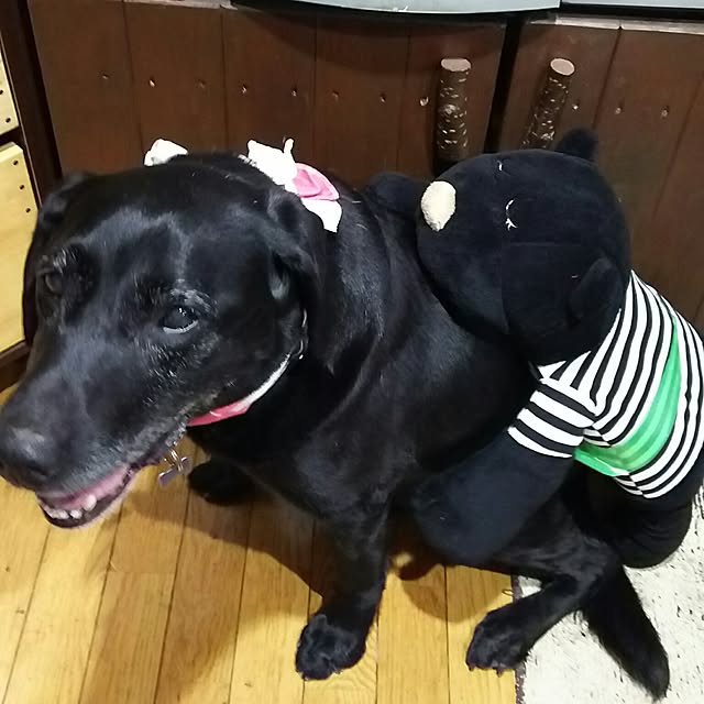 ohisamaさんの実例写真