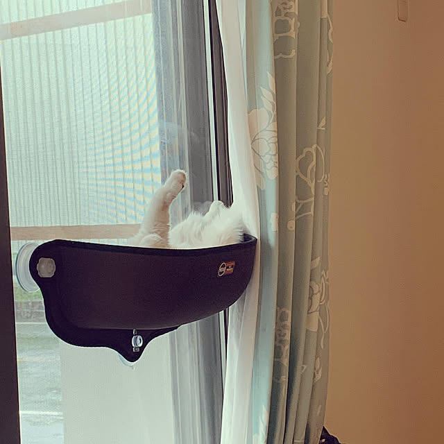 kickoさんの実例写真