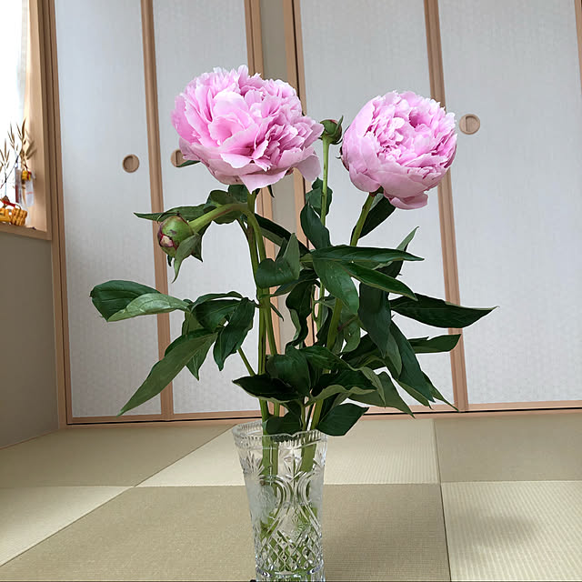 yururiさんの実例写真