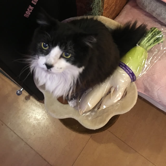 kanaさんの実例写真