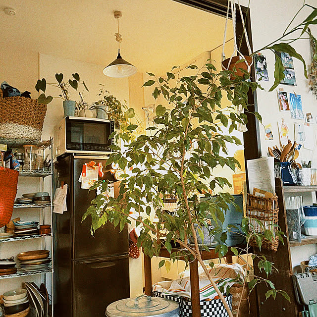 yukiatarIさんの部屋