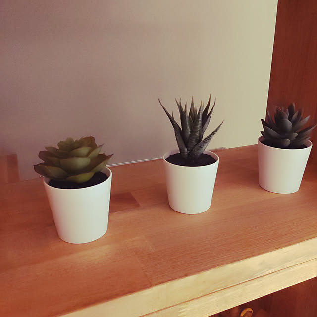 tocoさんの部屋