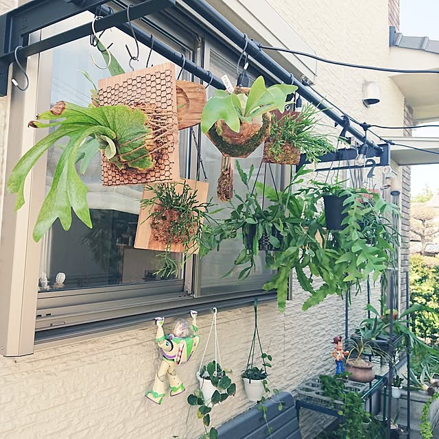 ot-gardenさんの部屋