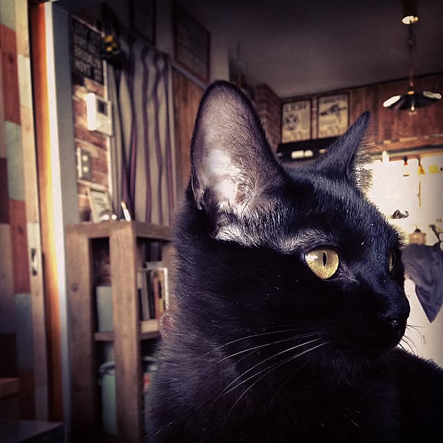 Naoki.さんの実例写真