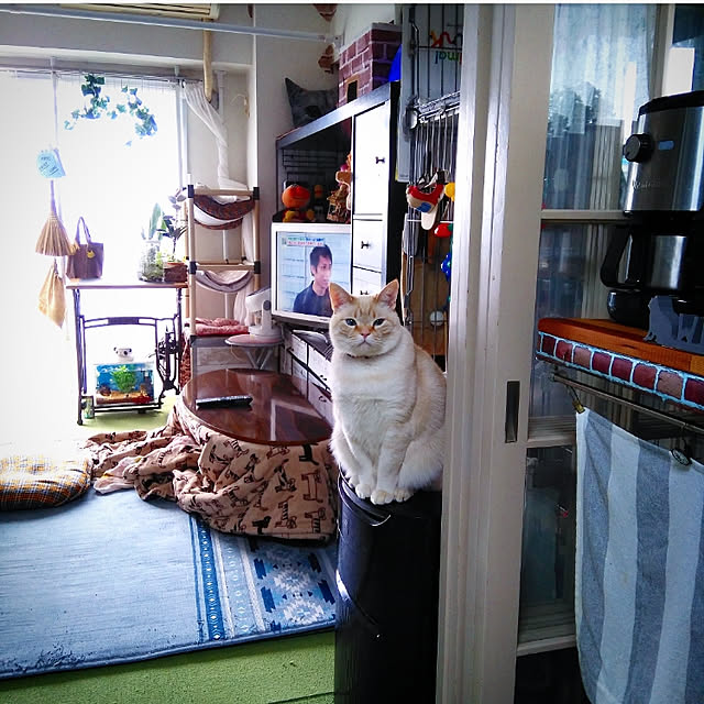 mntcさんの実例写真