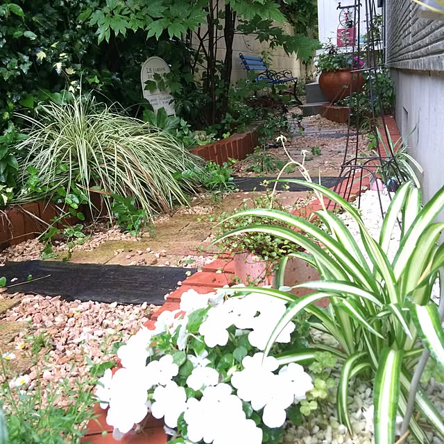 amiさんの実例写真