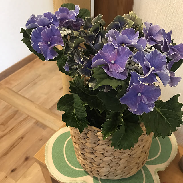 okadajapanさんの実例写真