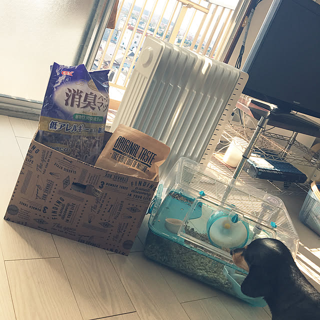 ohanaさんの実例写真