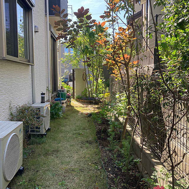 hatsugaさんの部屋
