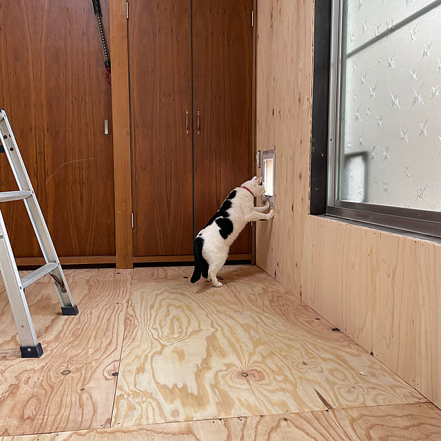 coolcats0528さんの部屋