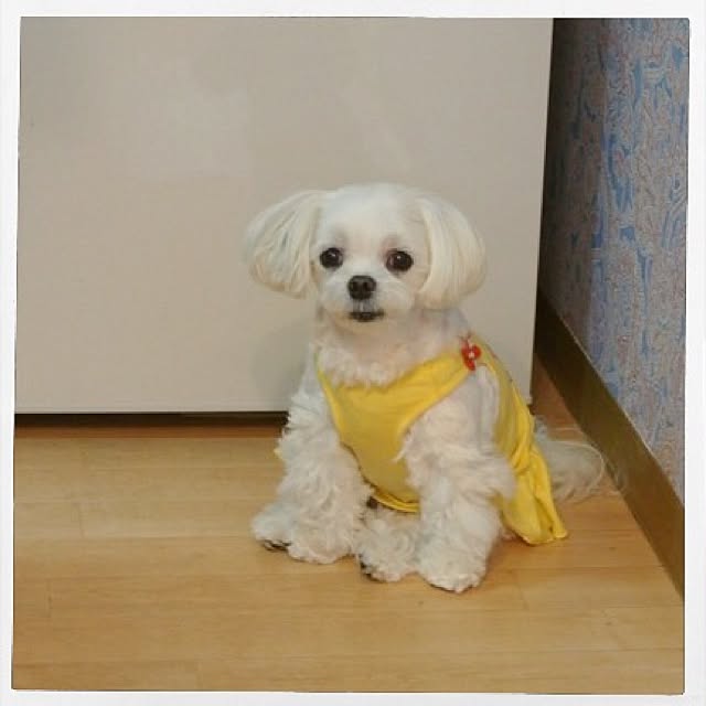 Sonokoさんの実例写真