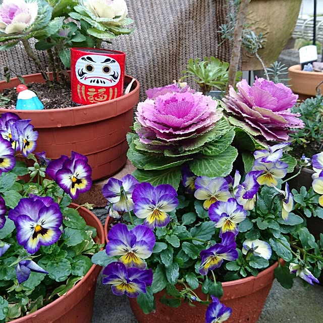pocoさんの実例写真