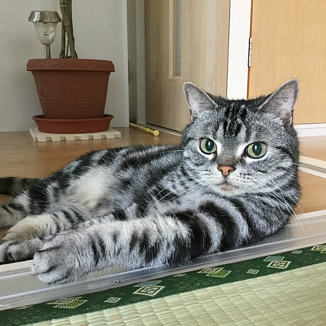 richanさんの実例写真