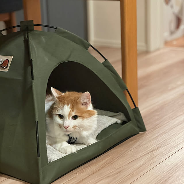 yutaさんの部屋
