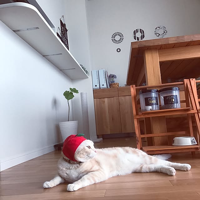 hiyupan88さんの実例写真