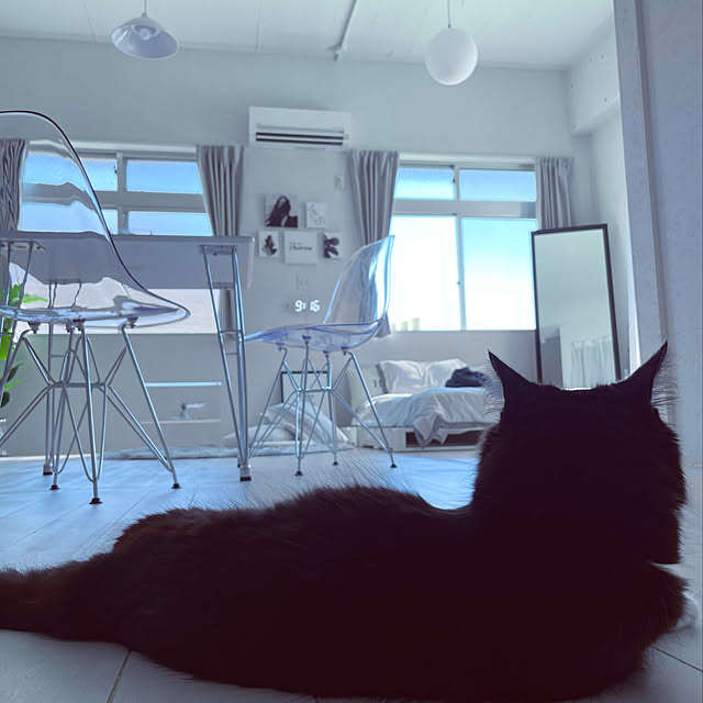 ERIKAさんの実例写真
