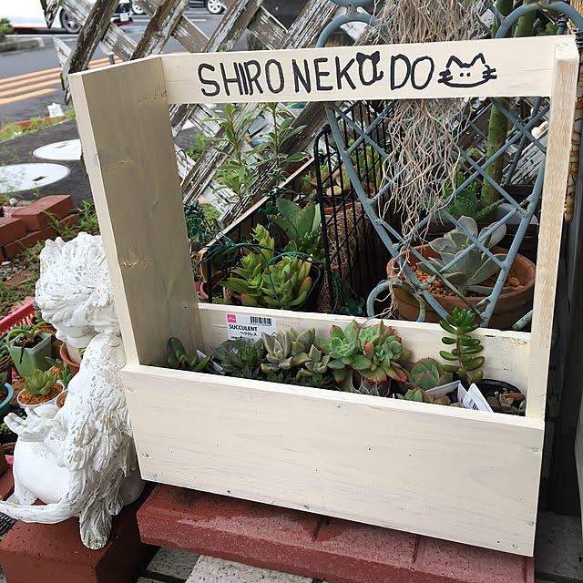 shigetanさんの実例写真