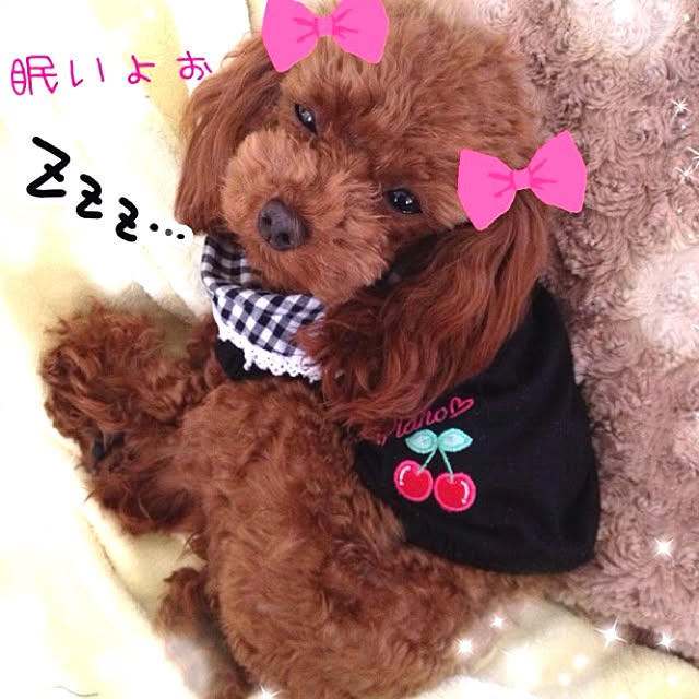cocoさんの実例写真
