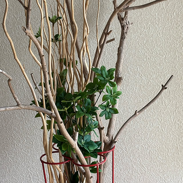 syutmmさんの部屋