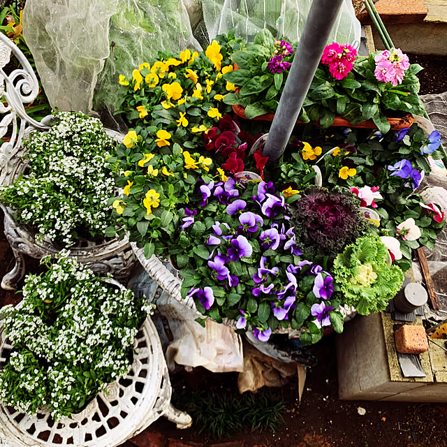 KYONさんの実例写真