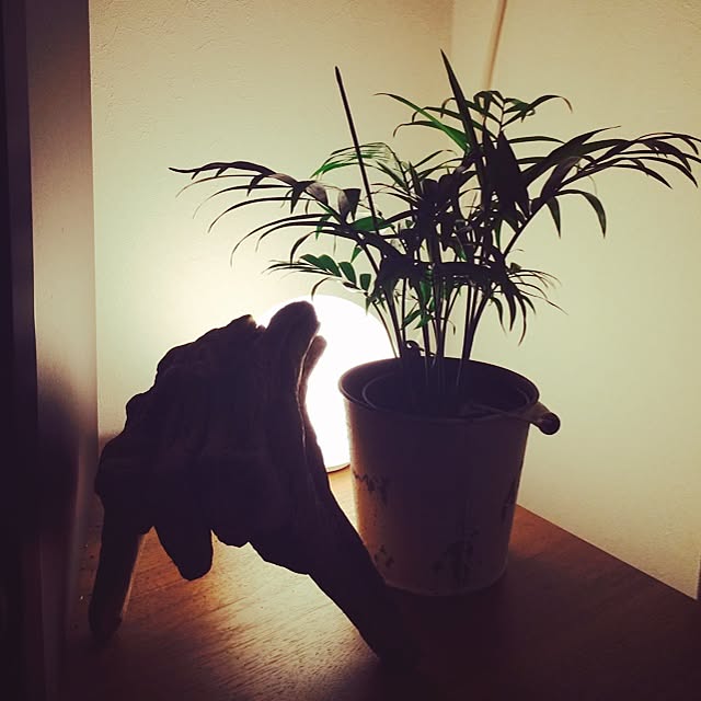 booさんの実例写真