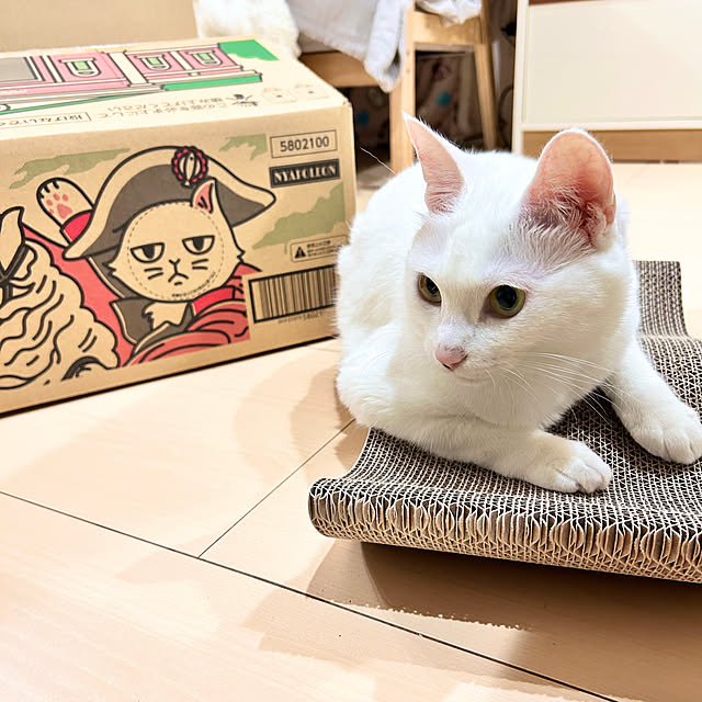 Miyu_さんの部屋