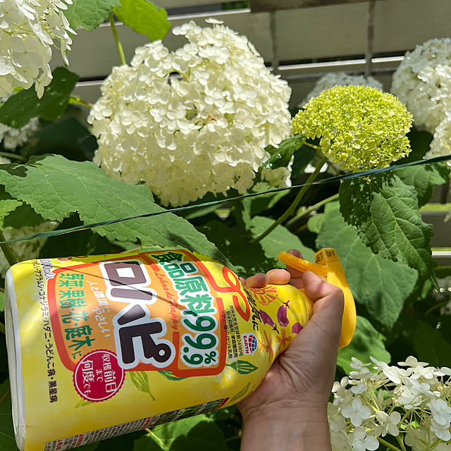 hamuさんの部屋