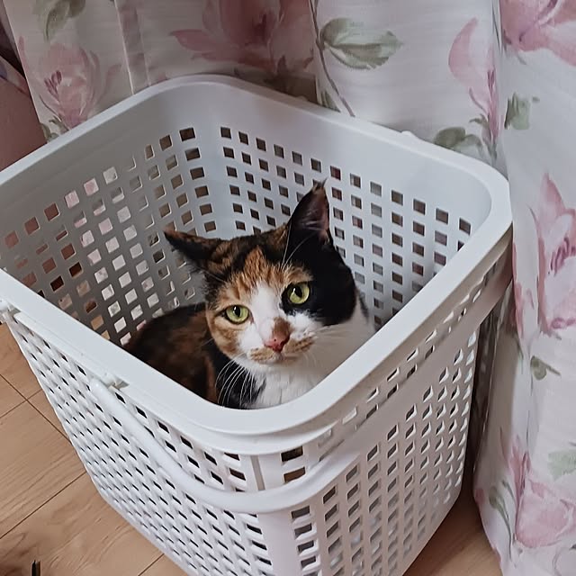 aiさんの実例写真
