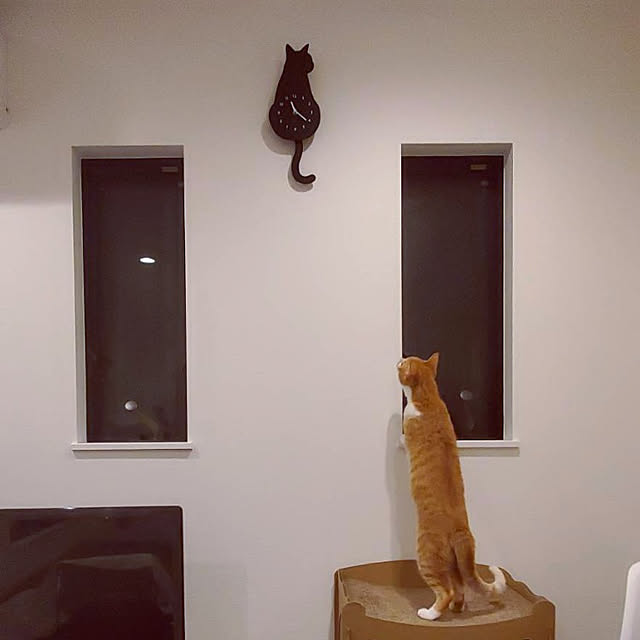 miiさんの実例写真