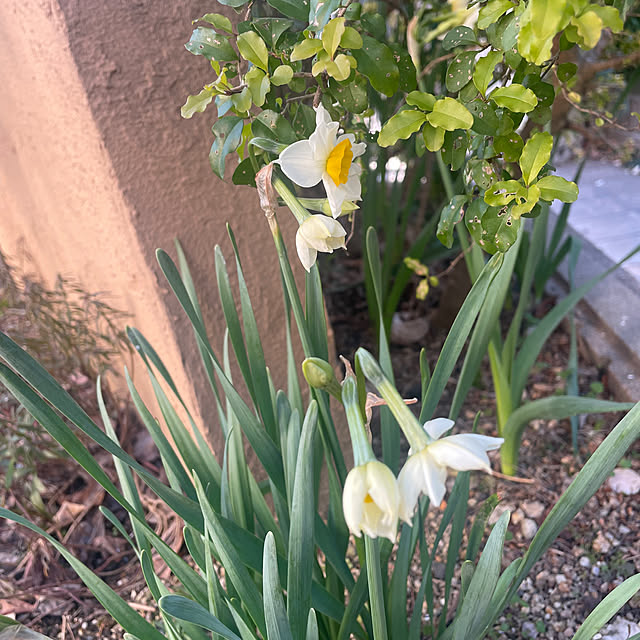 kuikoさんの部屋