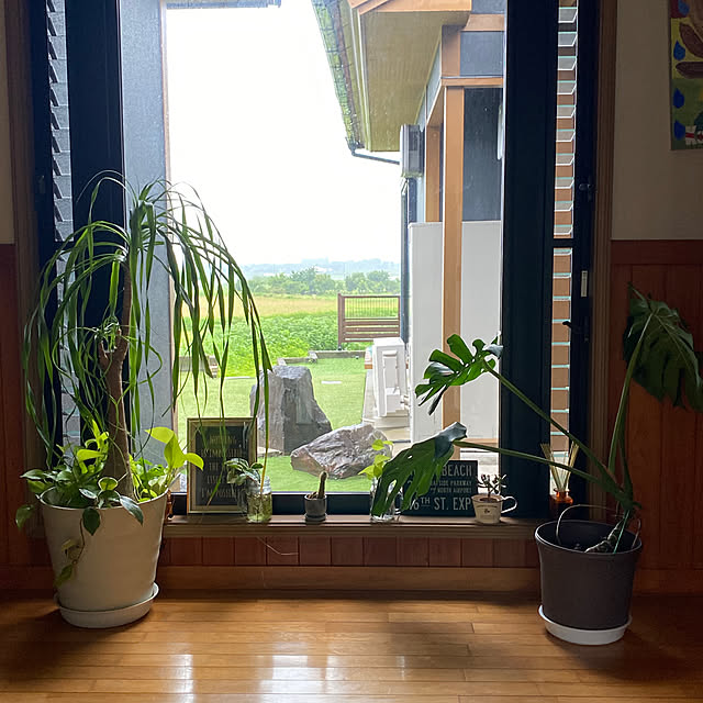 Mugiさんの部屋