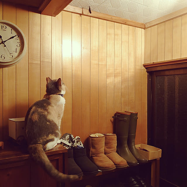 fukuさんの実例写真