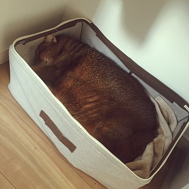 muuさんの実例写真