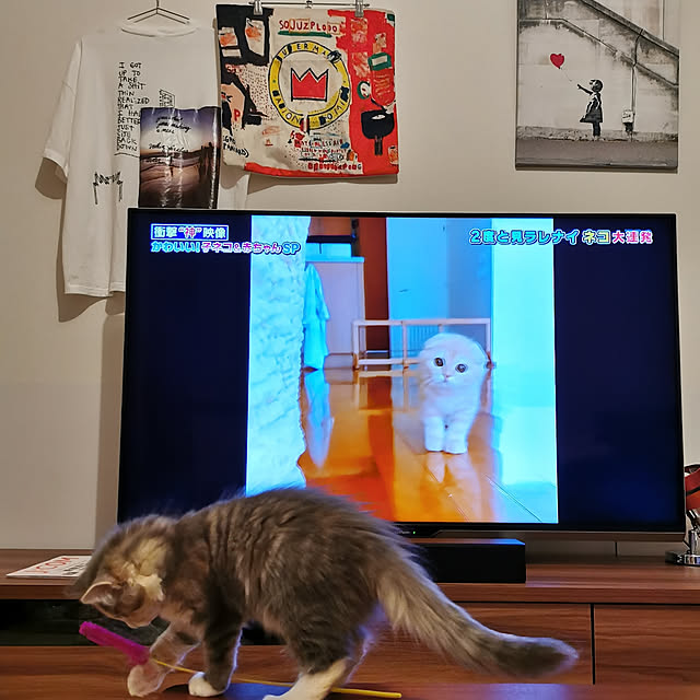 emiさんの部屋