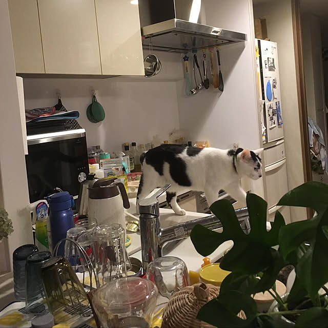 hanaさんの実例写真