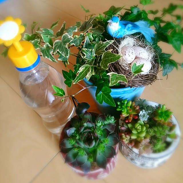 sena.masato.mamaさんの実例写真