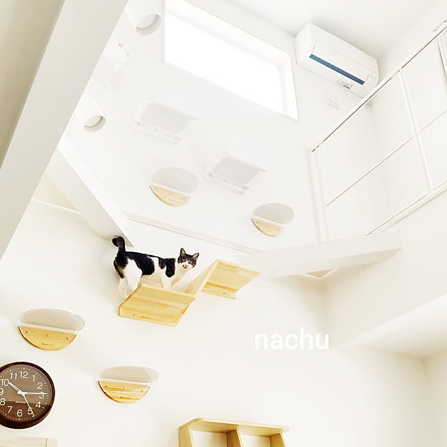 nachuさんの実例写真