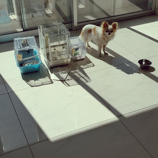 toratanさんの実例写真