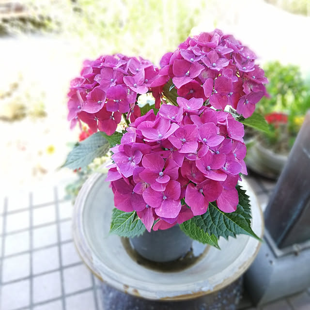 ayanasu.321さんの実例写真