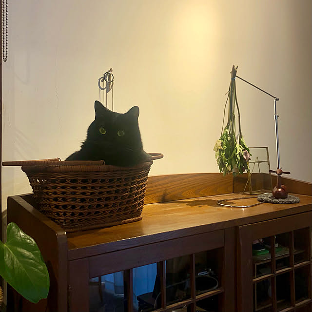 mutsuさんの実例写真