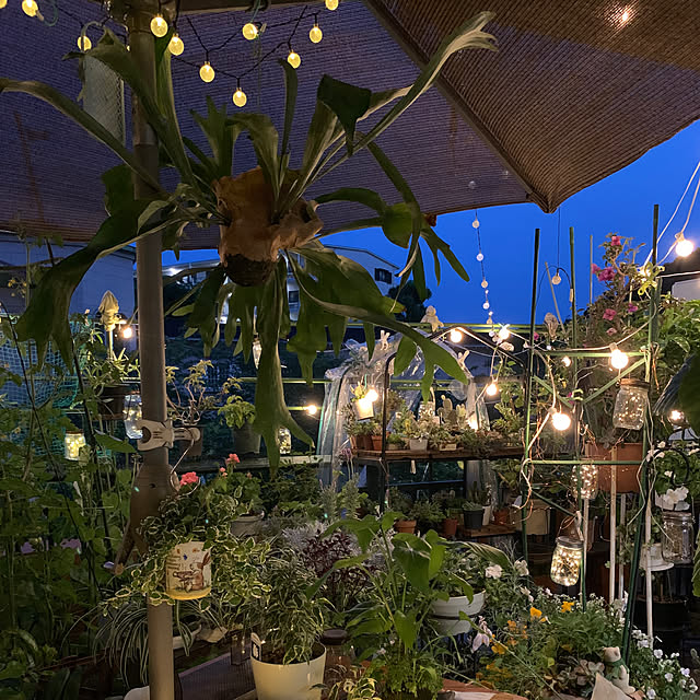 Aqettyさんの部屋