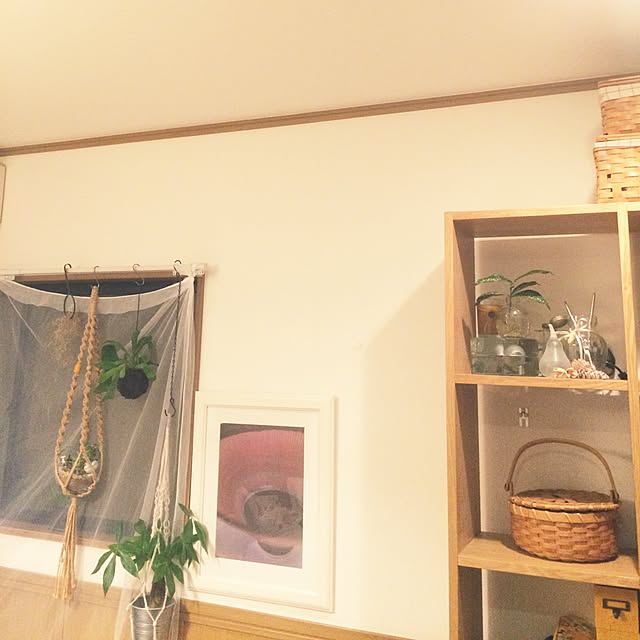 cohさんの実例写真