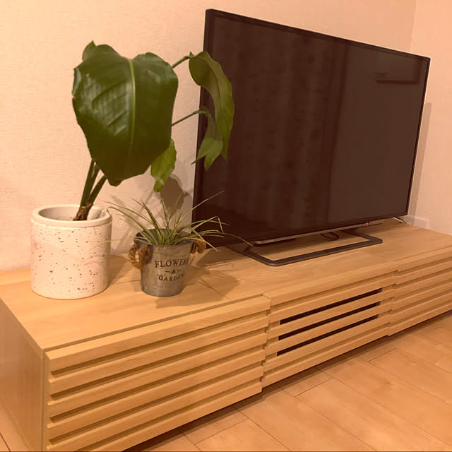 観葉植物/リビングのインテリア実例 - 2021-02-14 02:31:15