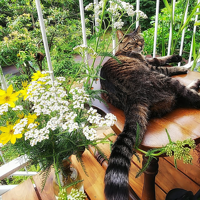 weさんの実例写真