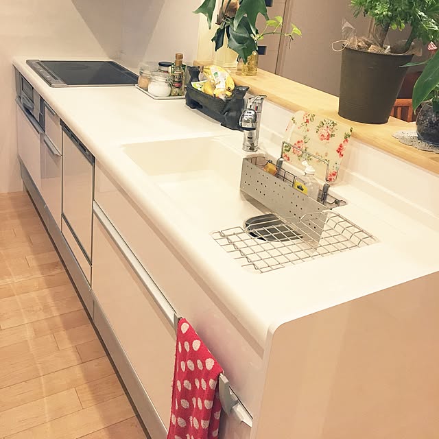 vol.1138写真